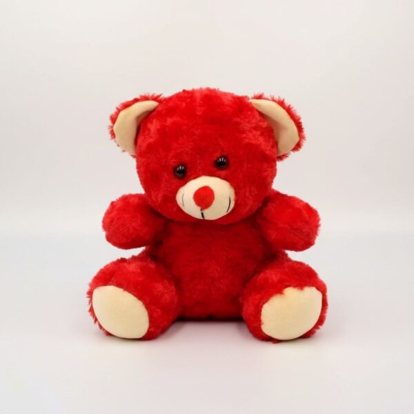 Red Stuffed Teddy Bear, 30 cm (1 ft)